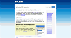 Desktop Screenshot of filext.com